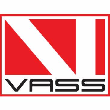Vass Performance Cycle